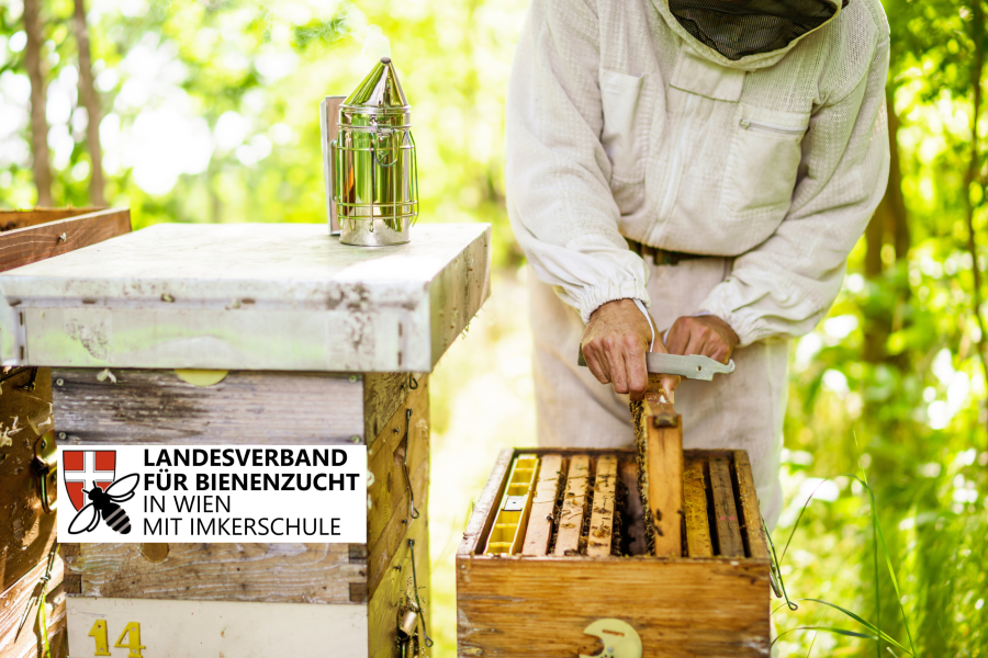 Eventbild
